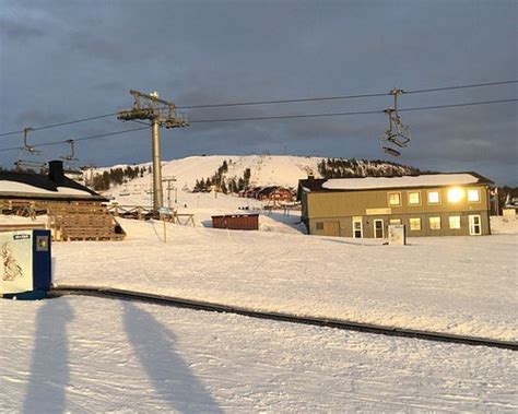 DE 10 BESTE Paardrijtochten in Finland .